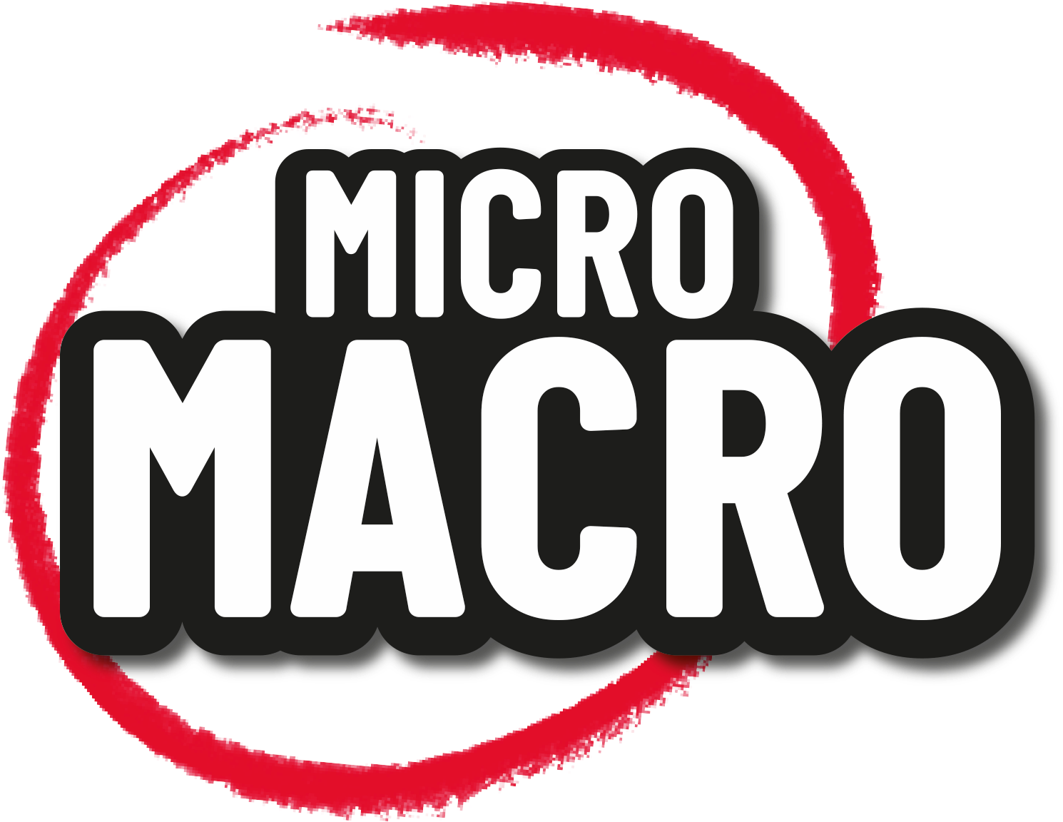 MicroMacro Logo